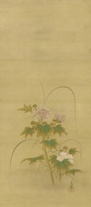 牡丹、江戸時代、17世紀初頭から18世紀初頭（絹にインクと色） 作： Kano Tsunenobu